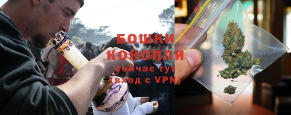 гидропоника Богданович