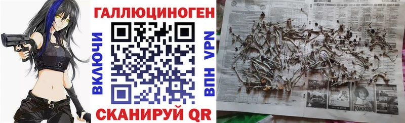 OMG ссылка  Белорецк  Псилоцибиновые грибы GOLDEN TEACHER 